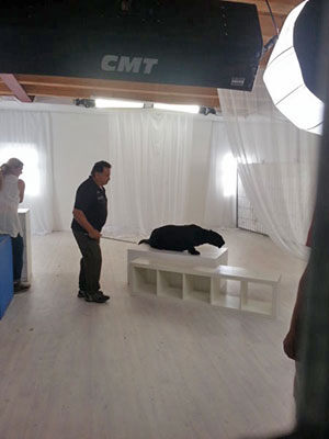 Panther Trailerdreh mit Ricarda M