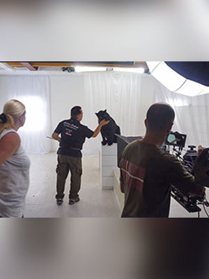 Panther Trailerdreh mit Ricarda M