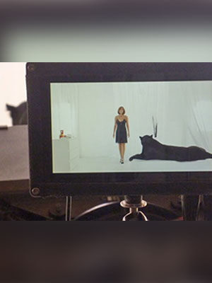 Panther Trailerdreh mit Ricarda M