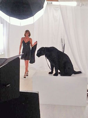 Panther Trailerdreh mit Ricarda M